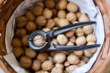 walnut crushing tool and shelled walnuts in the basket. Natural and organic village walnuts. There is also some shelled almonds in the basket. 