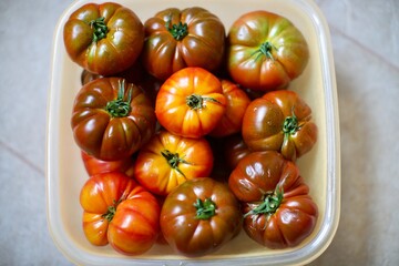 Close-up view of fresh tomatoes. Organic tomatoes grown in the village and standing in the basket. 