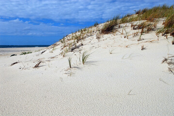 dune de sable sur la côte atlantique vers le bassin d'Arcachon