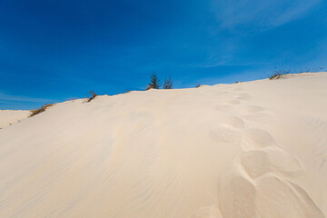 Fototapeta na wymiar White sand dunes in Vietnam
