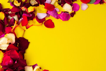 rose flower petals on a bright background on top. High quality photo