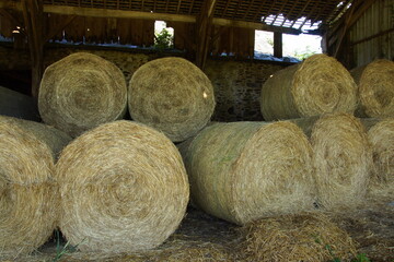 Grange agricole en bois