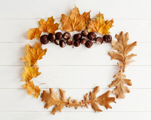 Top view close up picture of autumn dry leaves and chestnuts over white wooden background. Flat lay autumn background