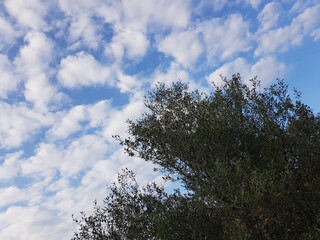 Paesaggio di Sardegna