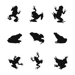 Frog silhoutte Collection