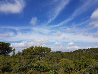 Paesaggio di Sardegna