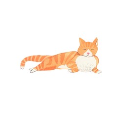 Cat. Watercolor cat illustration. - 360214507