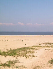 Baltic Sea Coast on Sobieszewska Island. The estuary of the Vistula River.
