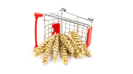 Wheat ears in a metal trolley on a white background isolated