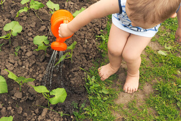.a little boy sits barefoot and pours beans with an orange watering can in the garden.. © Olga