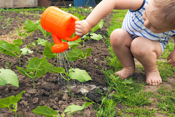 .a little boy sits barefoot and pours beans with an orange watering can in the garden..
