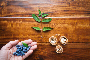 hand, honeysuckle berries, leaves and walnuts on wooden background. walnut and honeysuckle leaves close-up