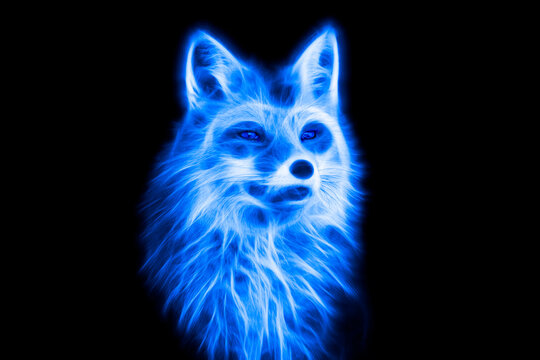 Fractal image of a wild fox in blue format on a contrasting black background