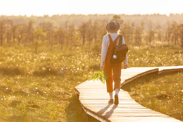 Woman botanist with backpack on ecological hiking trail in summer outdoors. Naturalist exploring wildlife and ecotourism adventure walking on path through peat bog swamp in a wildlife national park. 