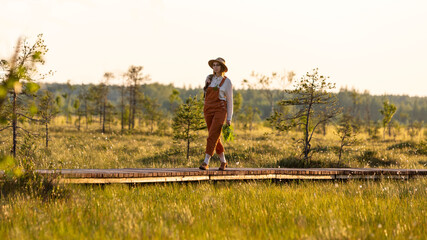 Woman botanist with backpack on ecological hiking trail in summer outdoors. Naturalist exploring wildlife and ecotourism adventure walking on path through peat bog swamp in a wildlife national park. 