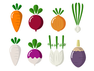 isolated cute simple root vegetables like carrot red beet turnip onion garlic turnip fennel parsnip malanga etc. vector design.
