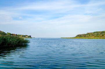 surface of the water in a pond, beautiful autumn landscape