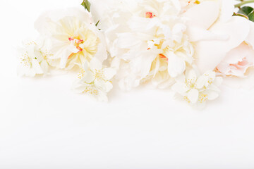 Romantic banner, delicate white peonies flowers close-up. Fragrant pink petals