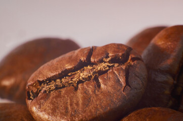 coffee bean close up macro isolated on a white background
