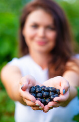 On the palm of the farmer’s girl is a handful of blackcurrant berries