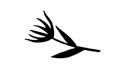 Hand drawn vector illustration of herbs. Doodle floral element. Spring and summer symbol. Contour otline drawing of simple black twigs and flowers