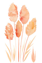 set of drawings of dry plants on a white background, watercolor illustration in boho style, beige herbs