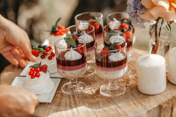 Delicious wedding reception candy bar dessert table on the garden