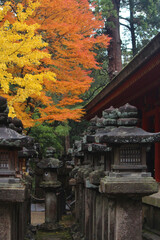 japanese temple in autumn