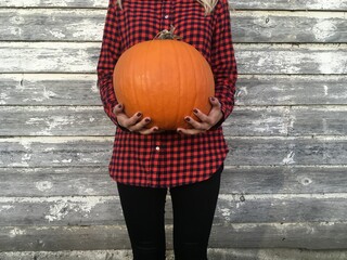 fall pumpkin