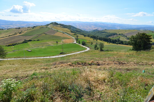 Terreni Agricoli Localita Castelvetere In Val Fortore (BN)