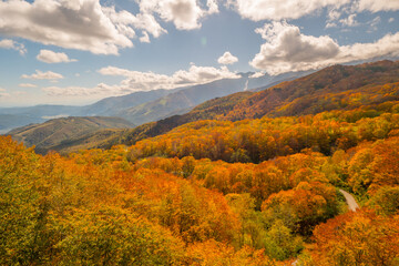 紅葉の八方尾根の山肌