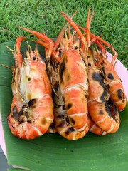 Grilled Prawn