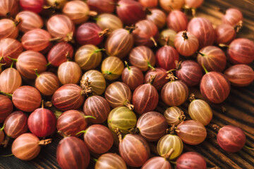 Fresh gooseberry closeup on a wooden board, healthy food. 