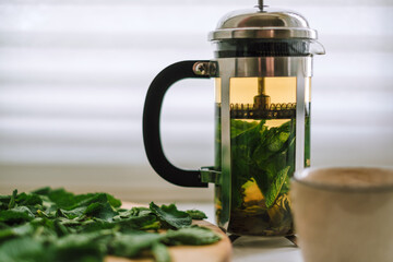 Green tea with fresh mint leaves brewed in a French press on a white table by the window.