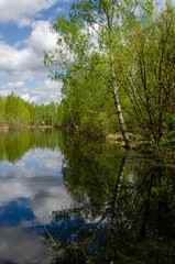 Fototapeta na wymiar Lake in the forest. Clouds are reflected in the lake. Village pond among the trees.