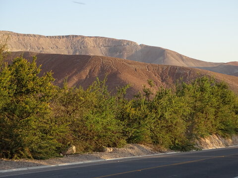 Geoglyphs of Llamas in Chen Chen (Moquegua, South Peru)
