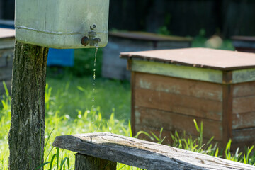 A special drinking bowl for bees in the apiary. Wooden board with a groove for fresh water.
