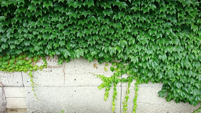 T4 Ftcdn Net Jpg 03 60 23 07 360 F 38 T4 Ftcdn Net Jpg 03 60 23 07 360 F 38