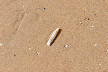 Couteau blanc © Marytog