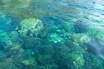 Fototapeta na wymiar beautiful coral reef and tropical sea at lipe island ,satun Thailand