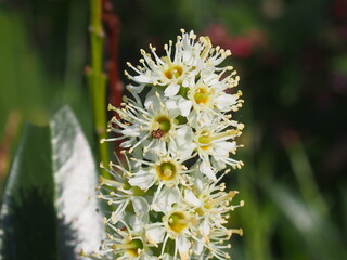 OLYMPUS DIGITAL CAMERA © karina