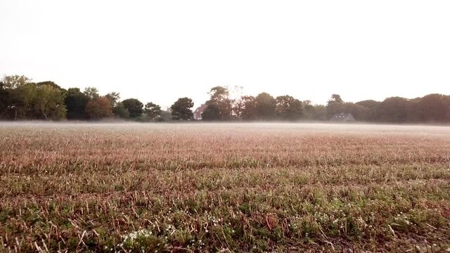 Aerial Low Fly Over a Field on a Misty Morning