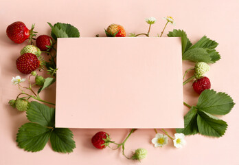 Composition of strawberries with green leaves ,flowers on a pink background. . torn paper. concept of summer freshness.Copy space, flat lay,mock ap