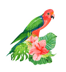 Beautiful exotic floral watercolor illustration with king parrot, tropical palm leaf and hibiscus flower isolated on a white background, colorful summer print for t-shirt, card, and other decor.