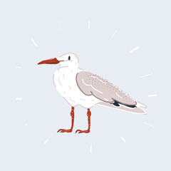 Vector illustration of white bird seagull isolated on white