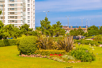 Obraz premium Ogród zewnętrzny, Punta del Este, Urugwaj