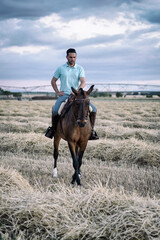 Horseback rider walking viewed from the front in the field on a straw stubble. Horse riding.
