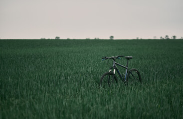 dramatic view of mountain bike stands in grass field. leisure time and cycling in freedom