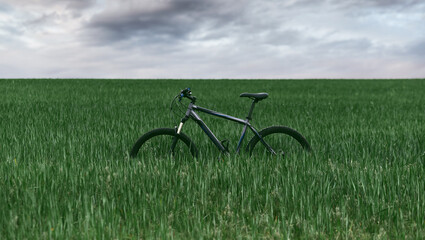 Fototapeta na wymiar dramatic view of mountain bike stands in grass field. leisure time and cycling in freedom