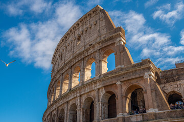 przelatująca mewa nieopodal Coloseum w Rzymie - obrazy, fototapety, plakaty